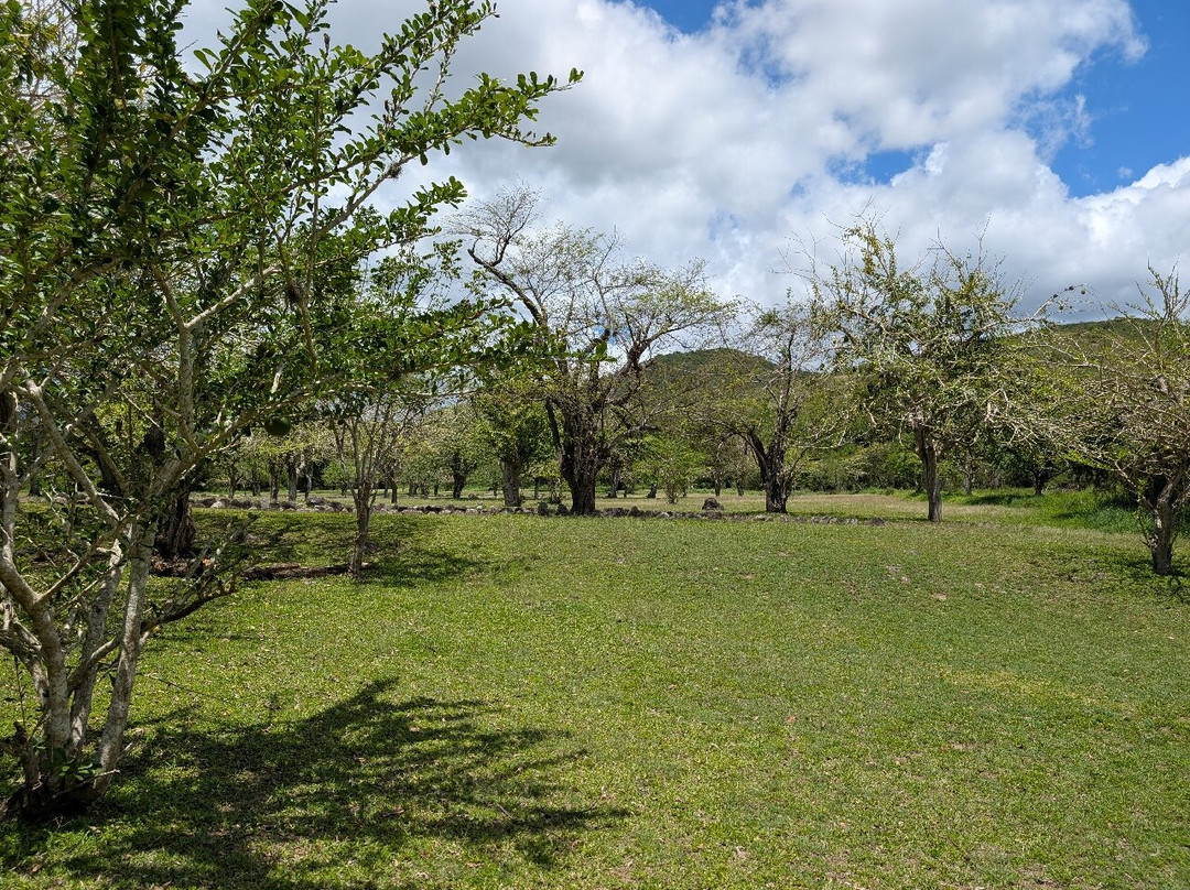 Tibes Indigenous Ceremonial Center-庞塞必去景点
