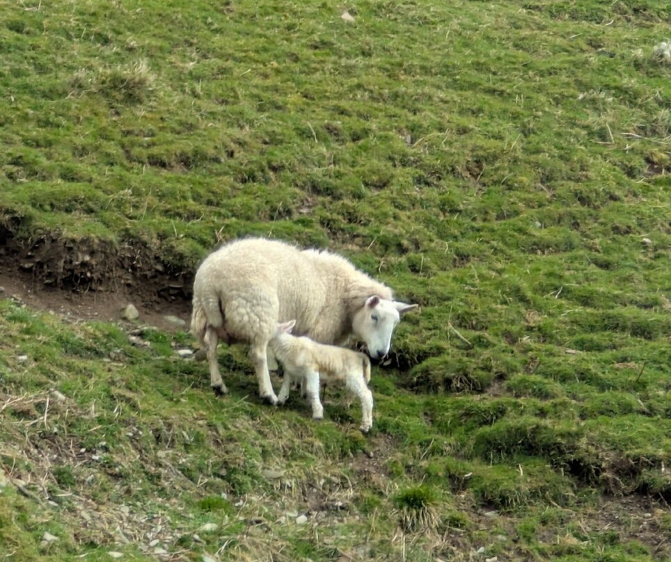 Armstrong Tours-Langholm必去景点