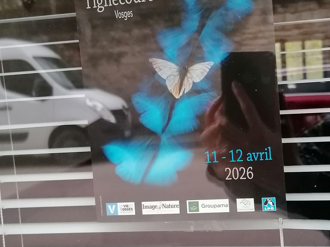 瑞雷沃斯格斯酒店主图