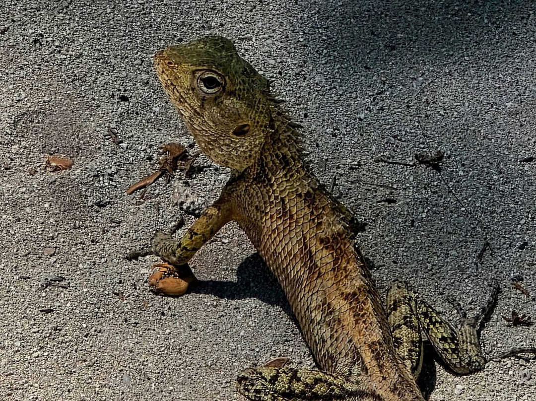 米拉门胡岛水疗度假村主图