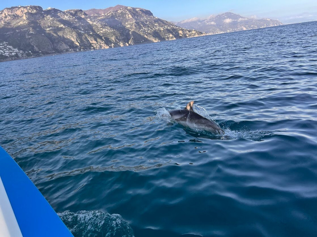 Amalfi coast fishing tour-普莱亚诺必去景点