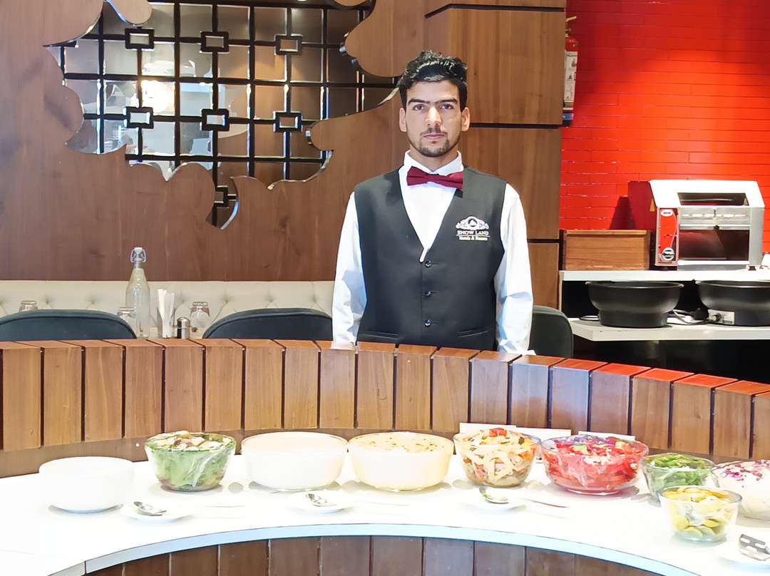 斯里纳格雪地酒店主图