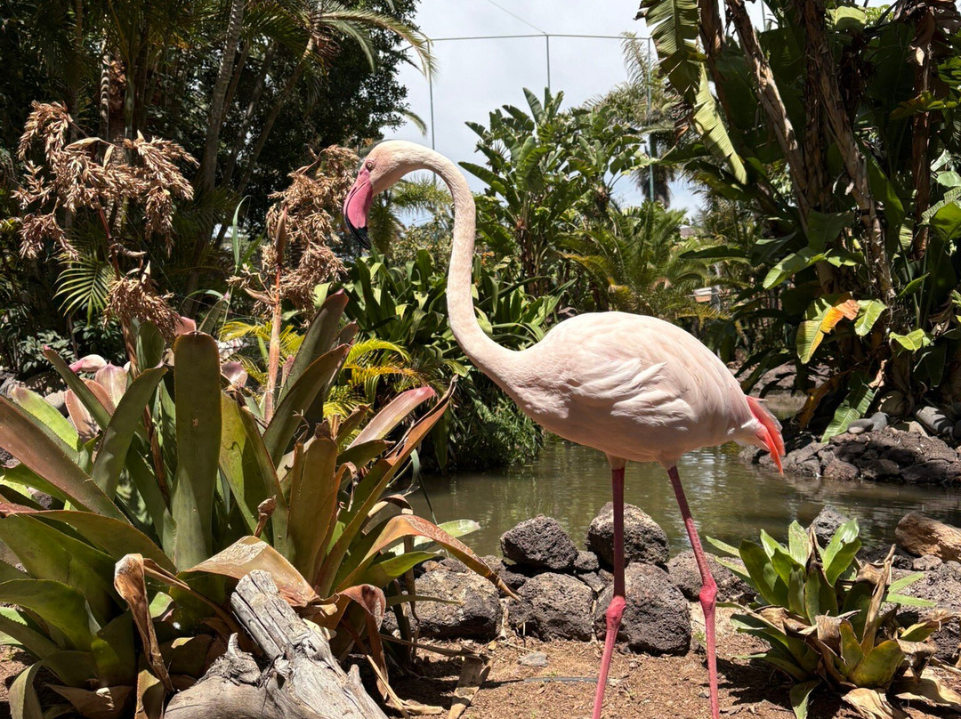 Oasis Park Fuerteventura-La Lajita必去景点