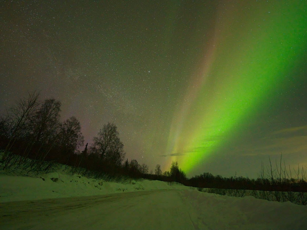 Aurora Husky Lodge - Aurora Viewing-费尔班克斯必去景点