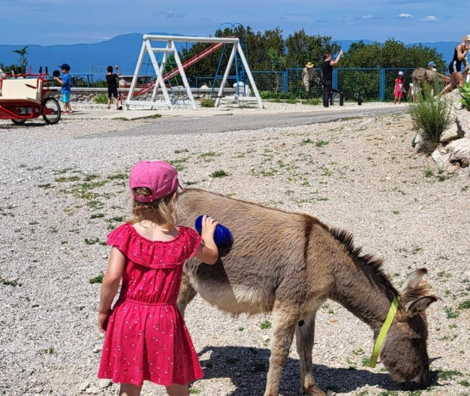 Villa Suzi Donkey Farm & Sea View