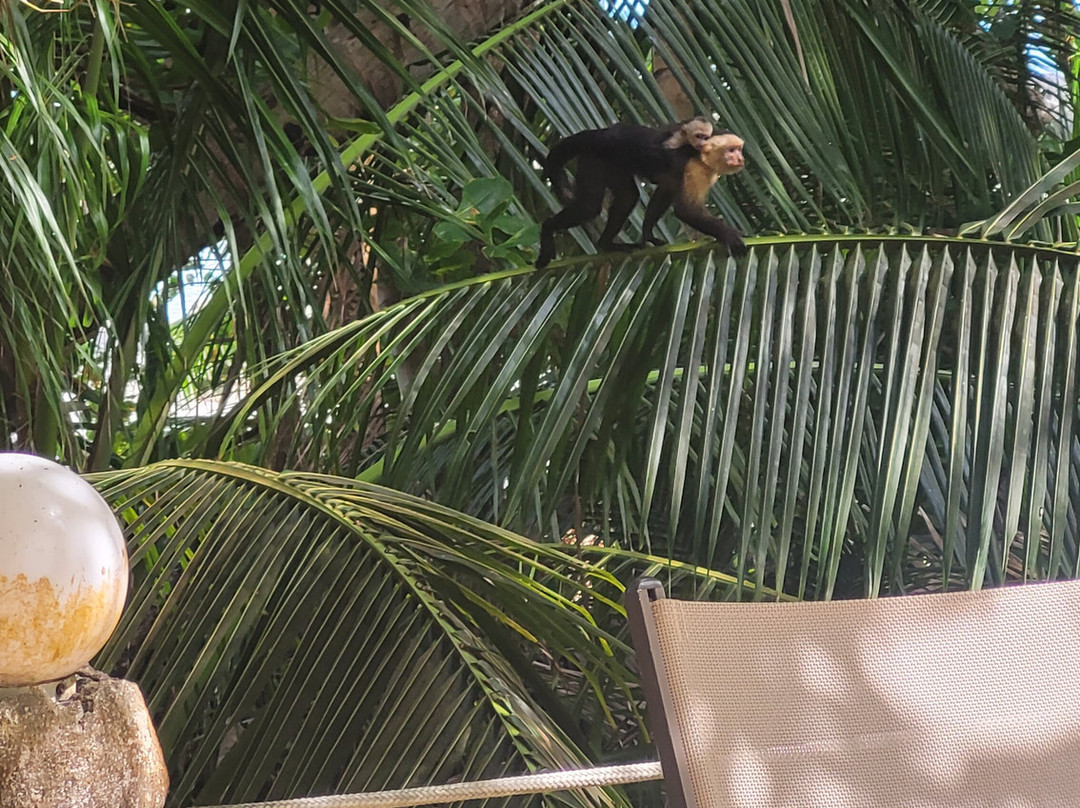 依兰依兰海滩度假村主图