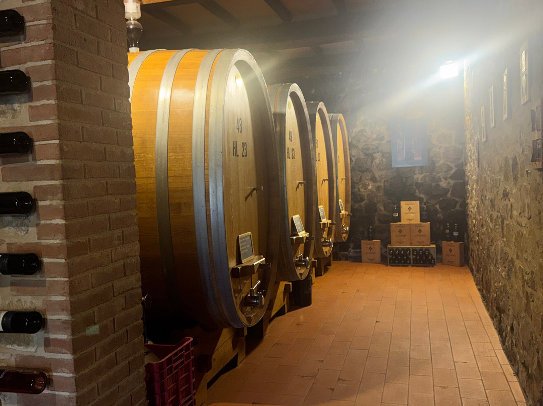 Casanuova delle Cerbaie-蒙塔尔奇诺必去景点