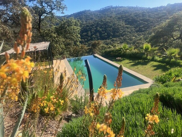 Finca Bravo