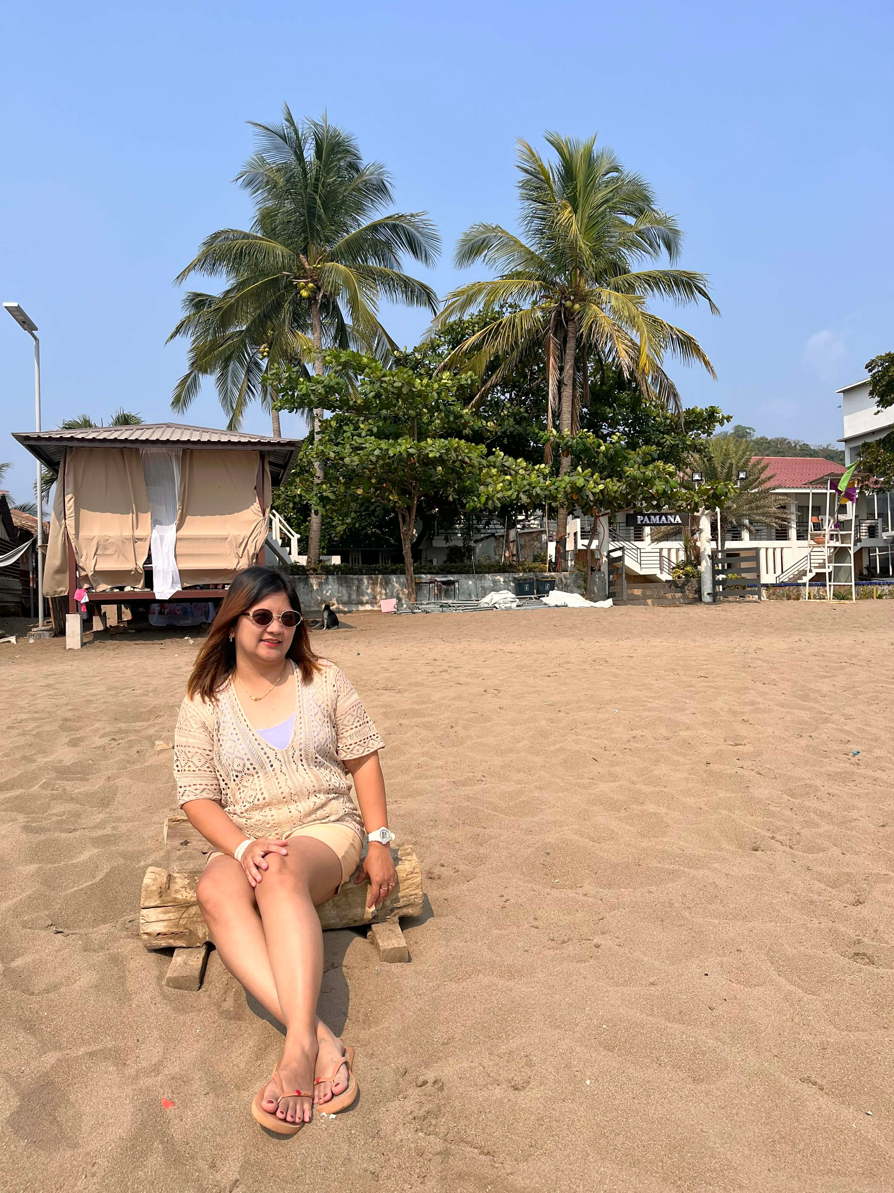 Pamana Resorts And Hotels-旅行者