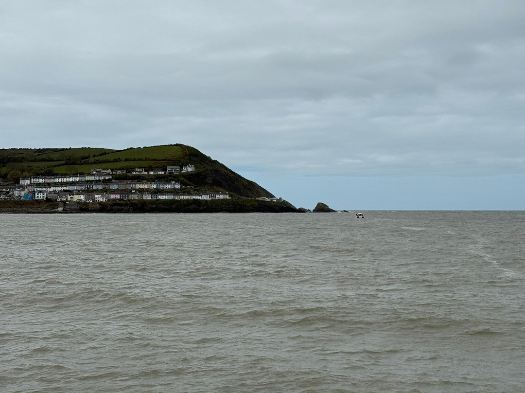 Dolphin Spotting Boat Trips (by New Quay Boat Trips)-纽基必去景点