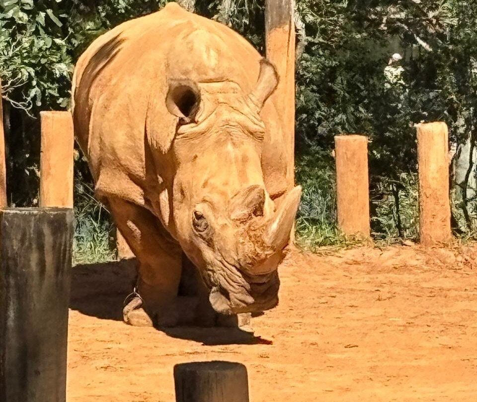 Zoologico De Sao Paulo-圣保罗必去景点