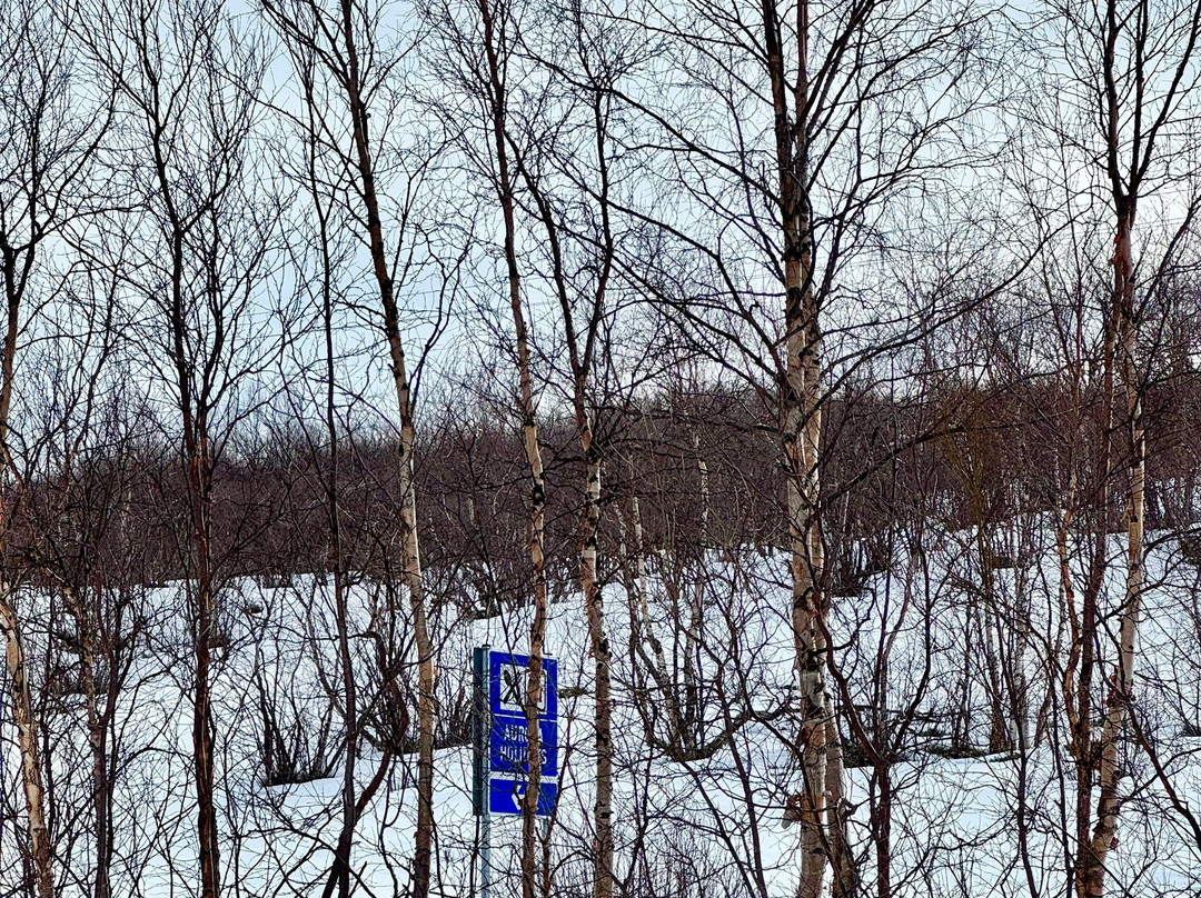 Aurora Holidays-Utsjoki必去景点