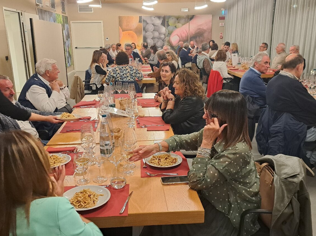 Vignaioli del Morellino di Scansano-Scansano必去景点