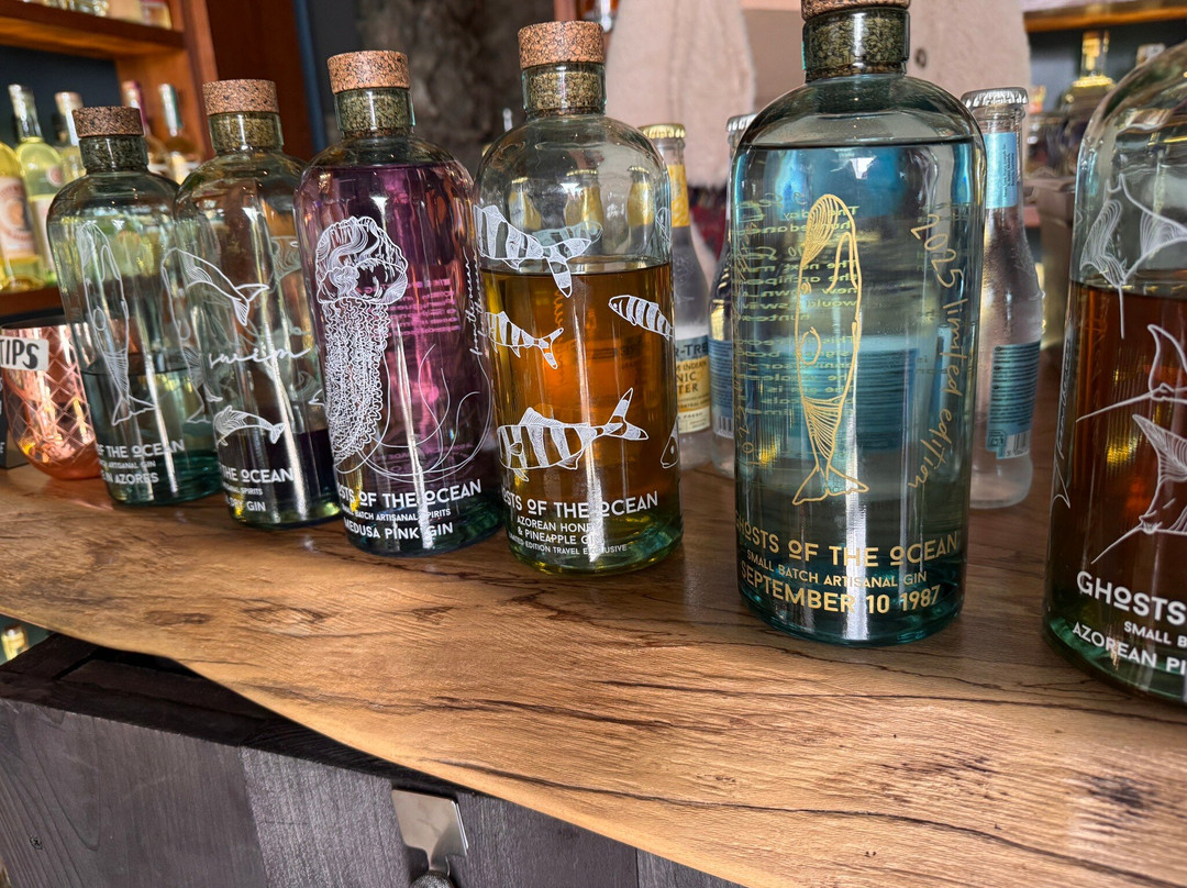 The Gin Library-蓬塔德尔加达必去景点