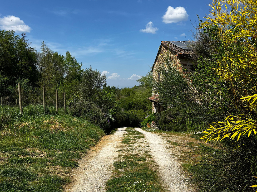 Il Cielo Bio - Il più Piccolo B&B del Chianti主图