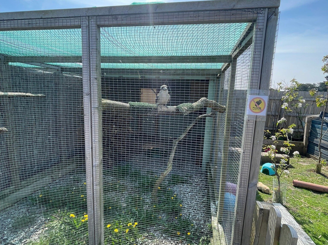 Holmes Chapel Zoo-Holmes Chapel必去景点