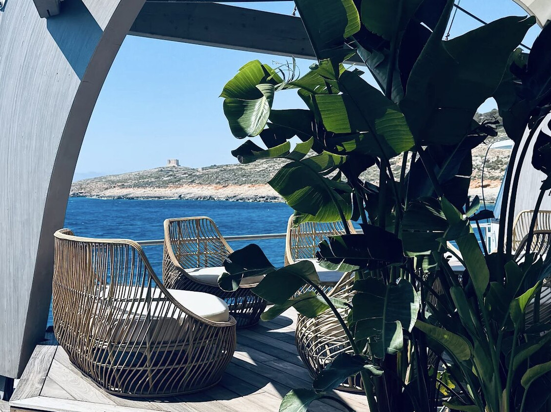 Noma Island-Marfa必去景点