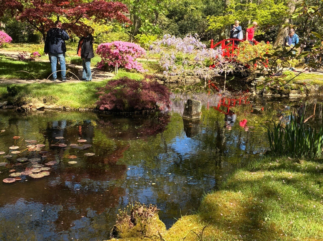 海牙日式花园-海牙必去景点