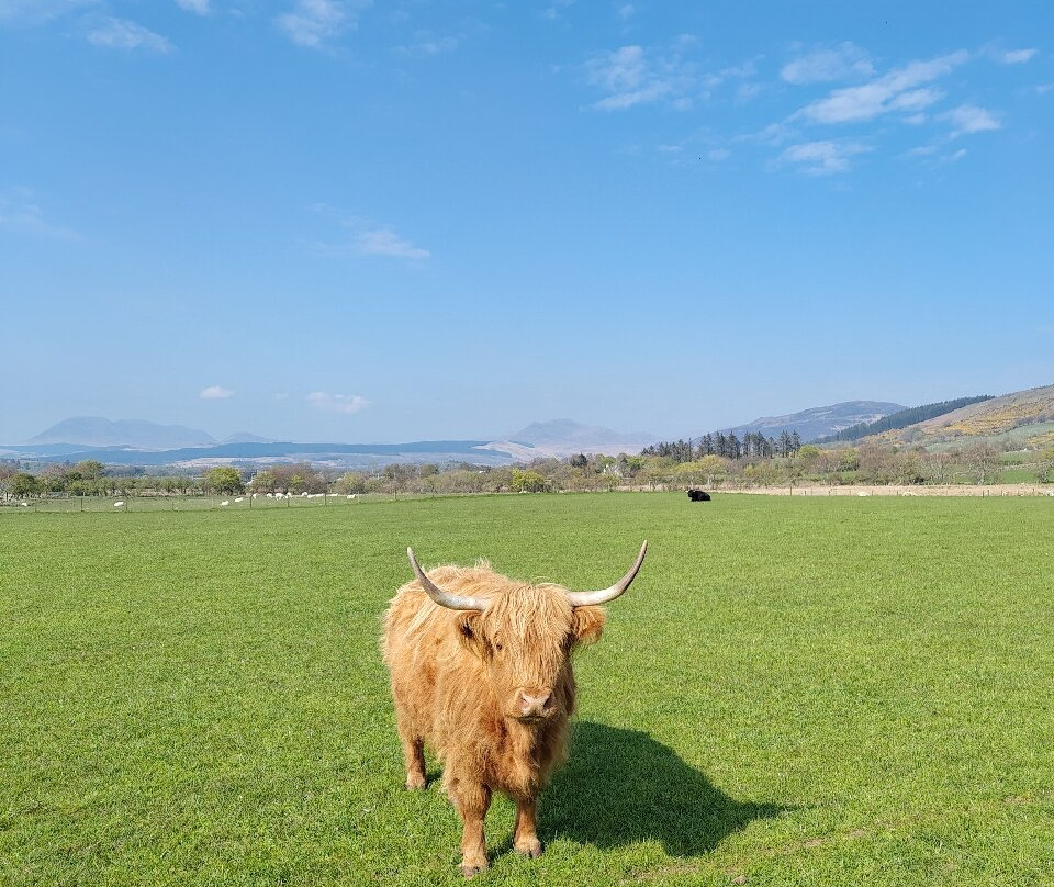 Bellevue Farm Tours-Blackwaterfoot必去景点