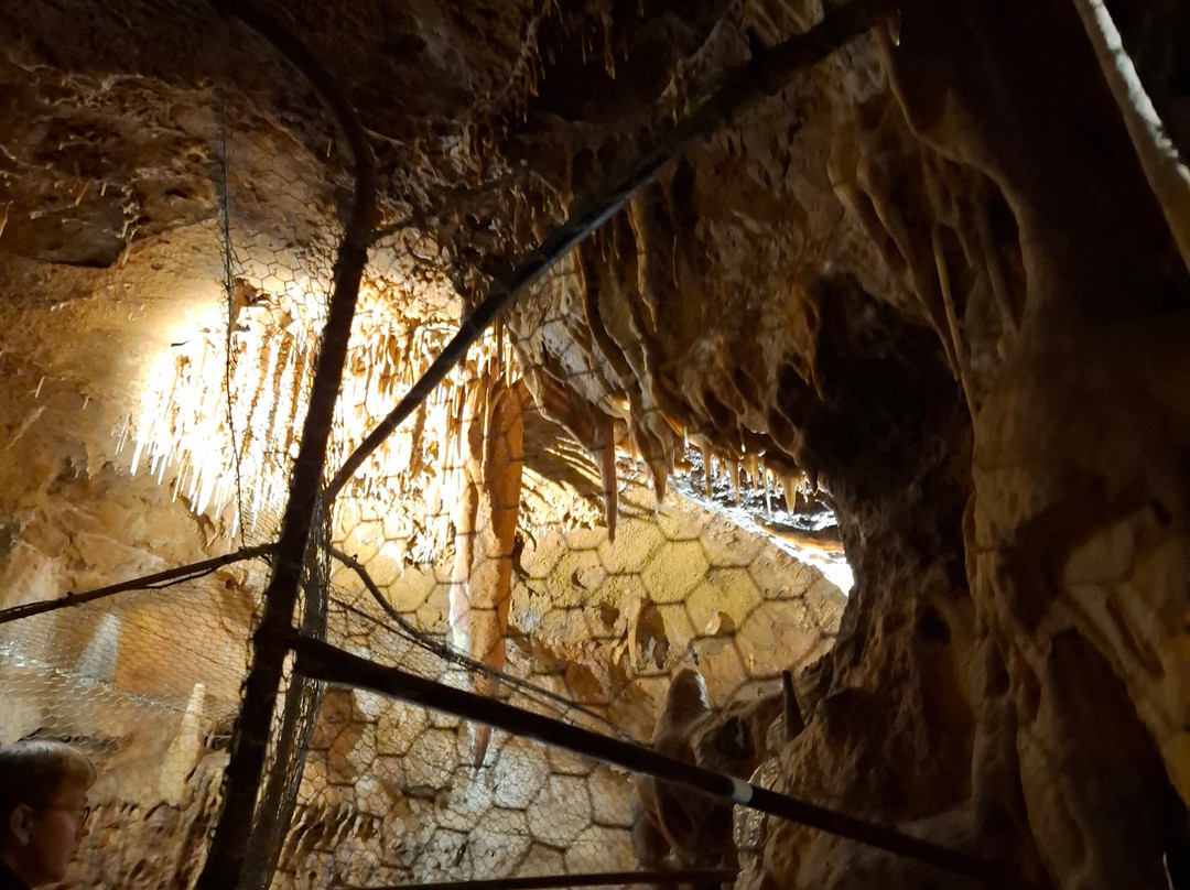 Grotte Du Bosc-Saint-Antonin Noble Val必去景点