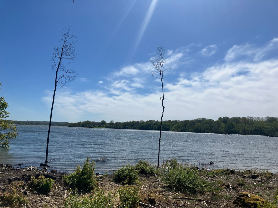 Bewl Water-Lamberhurst必去景点