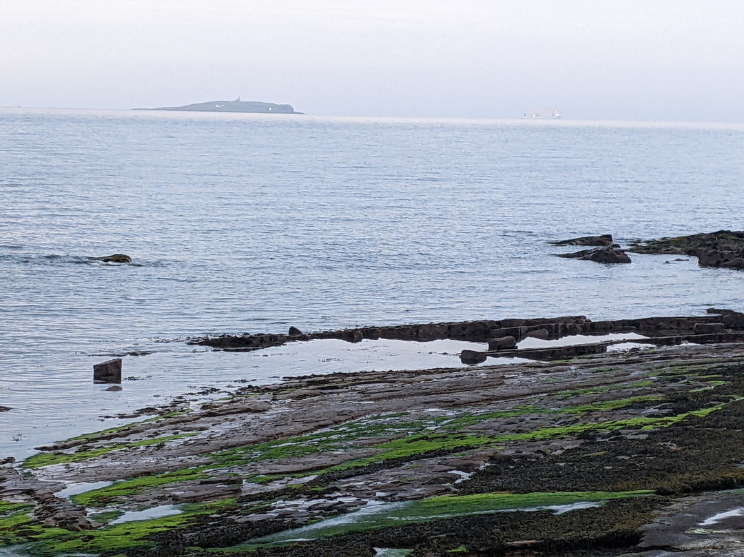 Crail Harbour-Crail必去景点