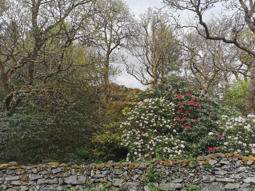 Caerau Gardens-Bala必去景点