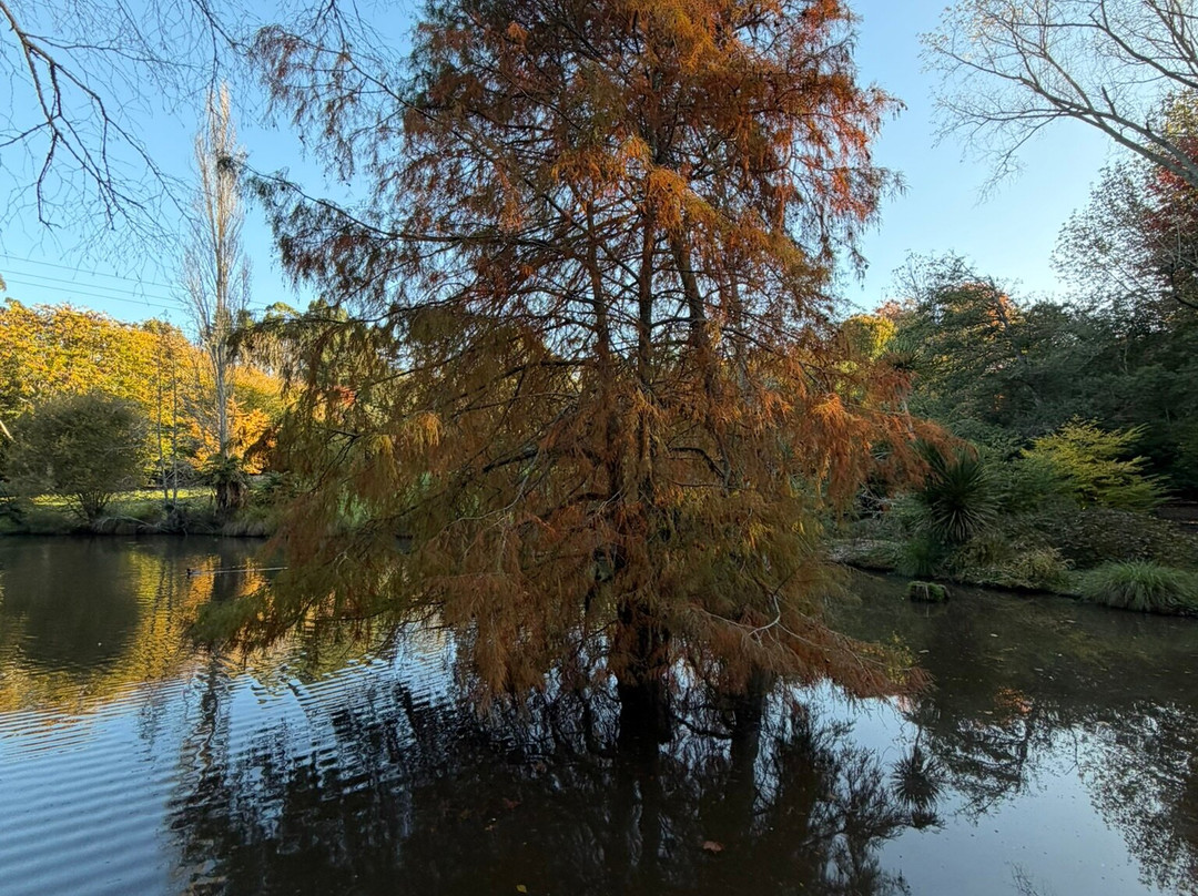 Taitua Arboretum-汉密尔顿必去景点