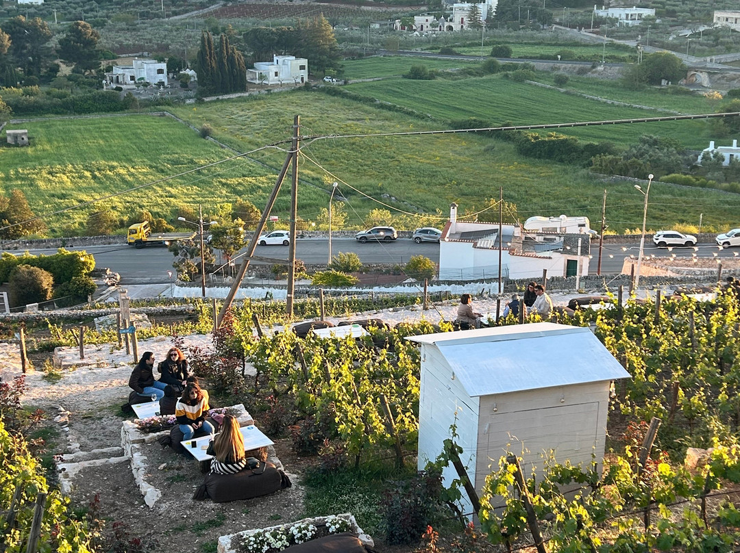 Azienda Agricola Bufano-洛科罗通多必去景点