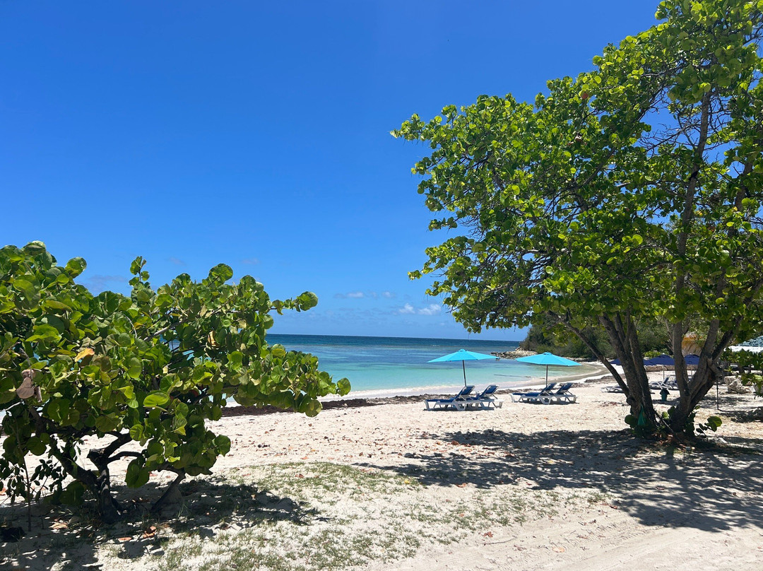Long Bay Restaurant And Bar