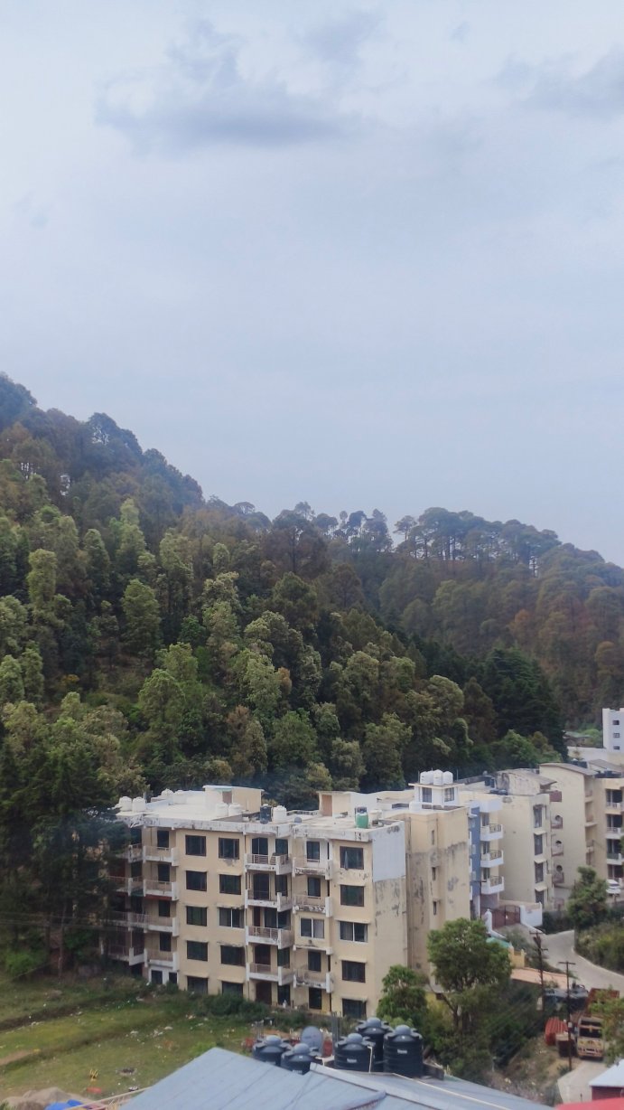克拉克斯酒店 博瓦利-酒店景观