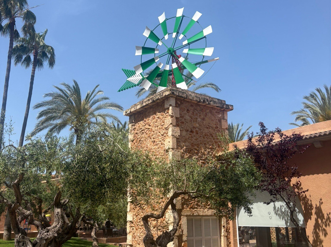 Protur Bonaire Aparthotel主图