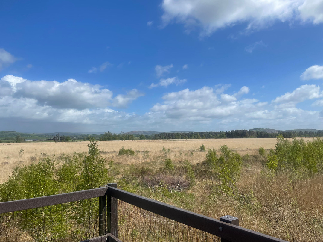 Foulshaw Moss Nature Reserve-肯德尔必去景点