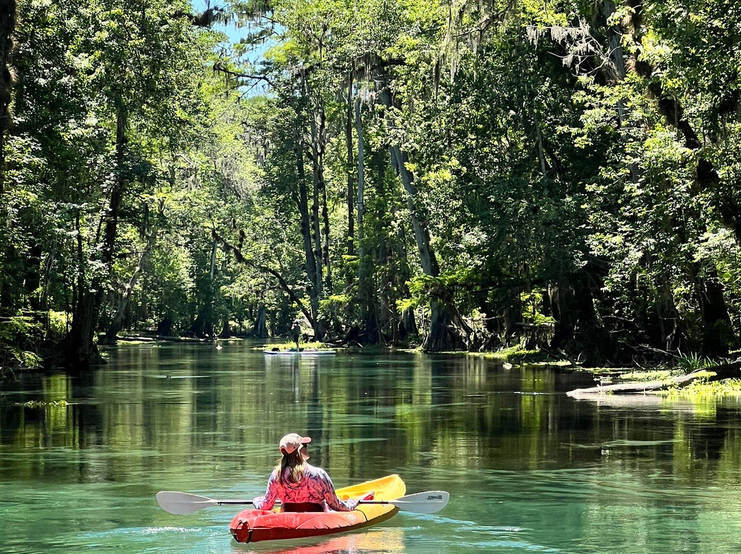 Ichetucknee Springs State Park-Fort White必去景点