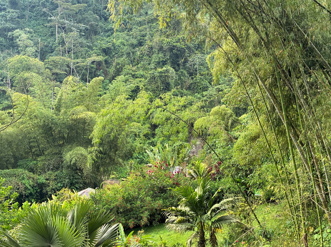 Finca Demostrativa Don Miguel-Villamaria必去景点