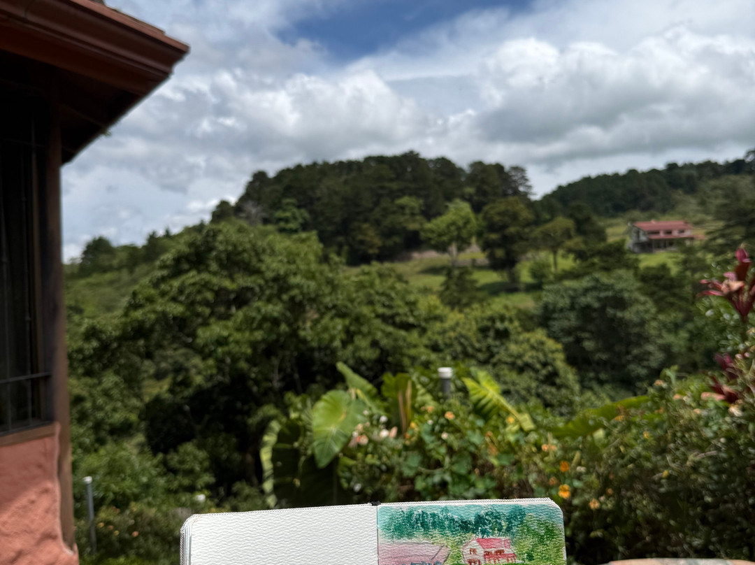 芬卡圣何塞机场芬卡帕拉伊索住宿加早餐旅馆主图