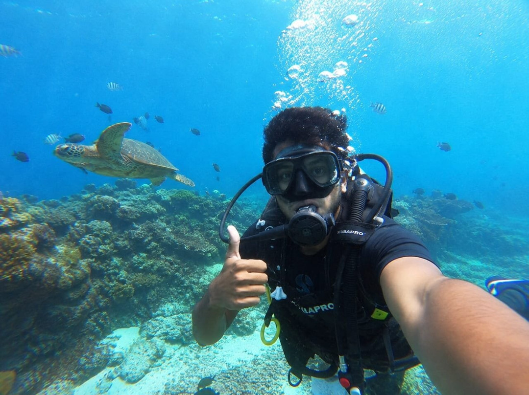 Diving Tours Mirissa-美蕊沙必去景点