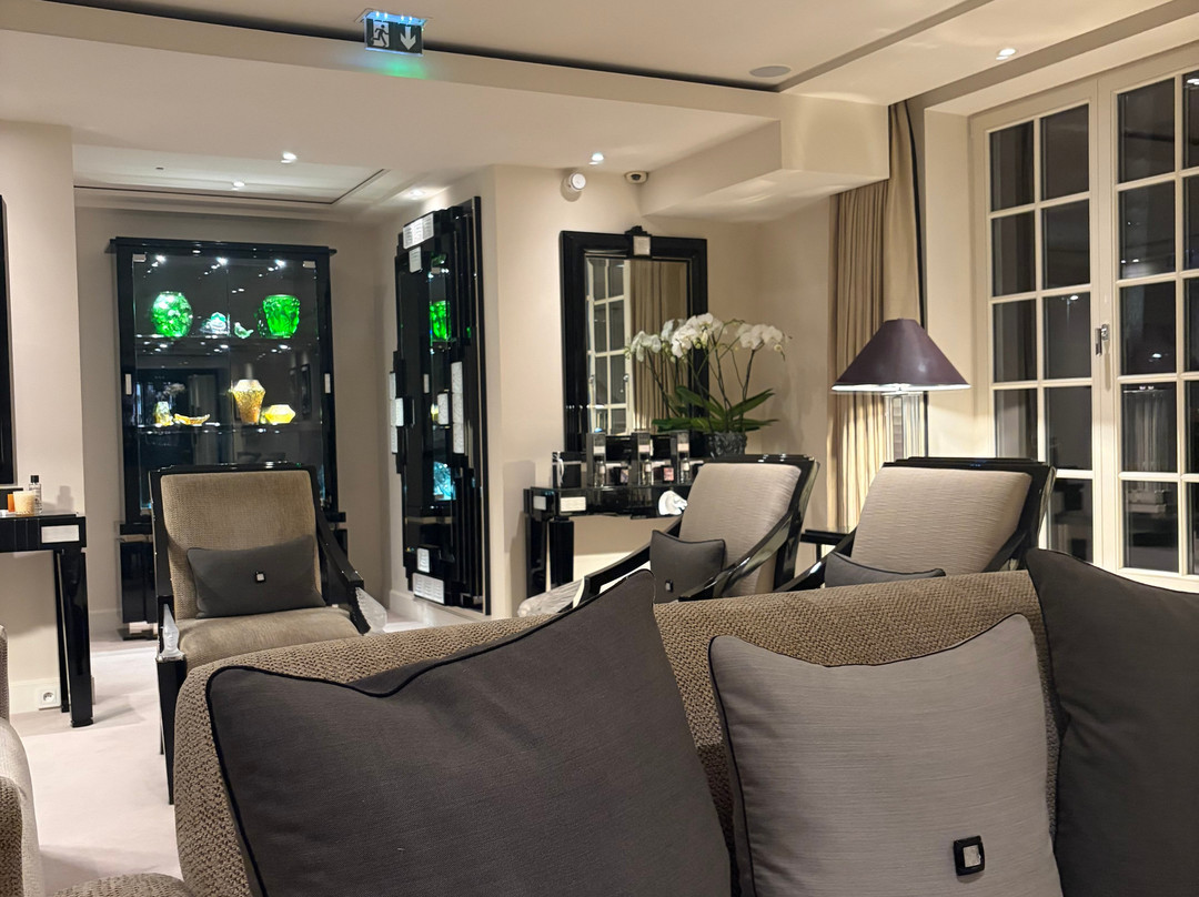 Villa Rene Lalique主图