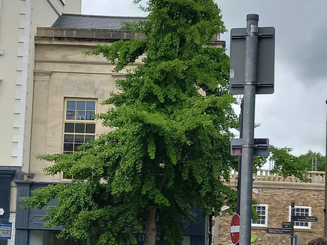 Stroud Subscription Rooms-斯特劳德必去景点
