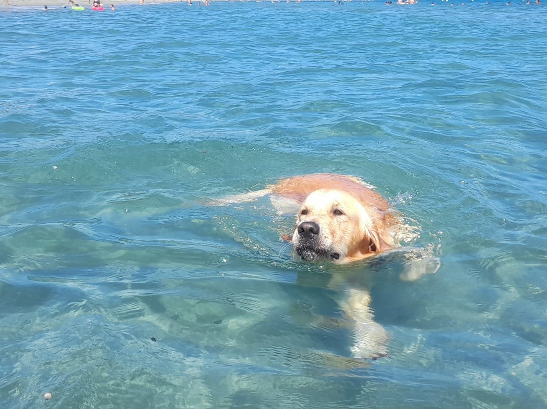 Spiaggia Osalla di Orosei-奥罗塞必去景点