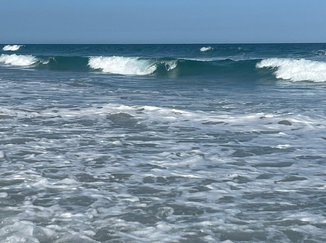 Wrightsville Beach-赖茨维尔比奇必去景点