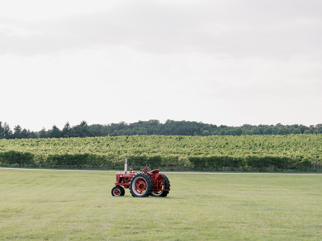 French Valley Vineyard-Cedar必去景点