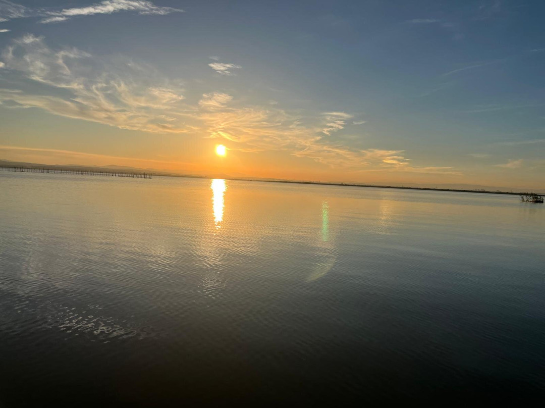 Visit Albufera-巴伦西亚必去景点