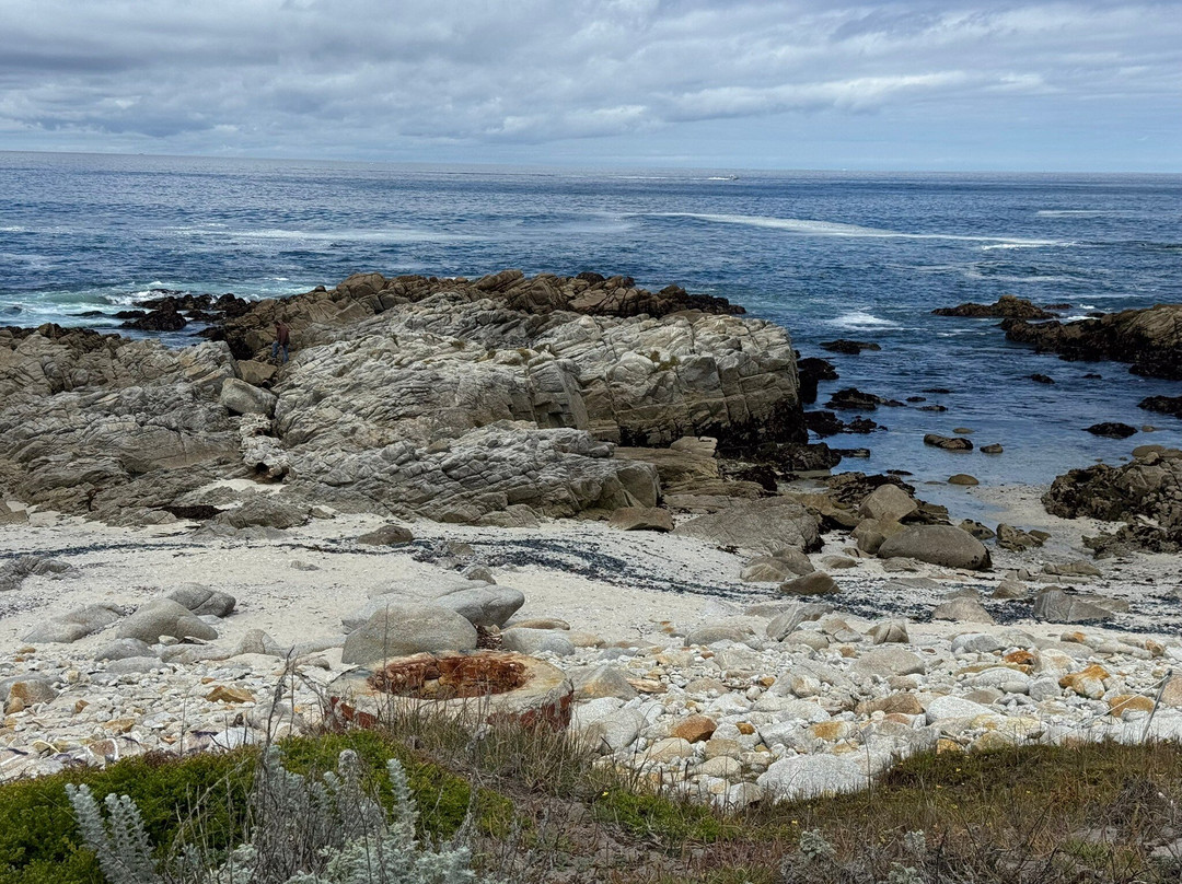 Asilomar State Beach-太平洋丛林镇必去景点