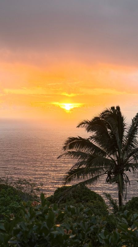 Maui Eco Retreat-旅行者