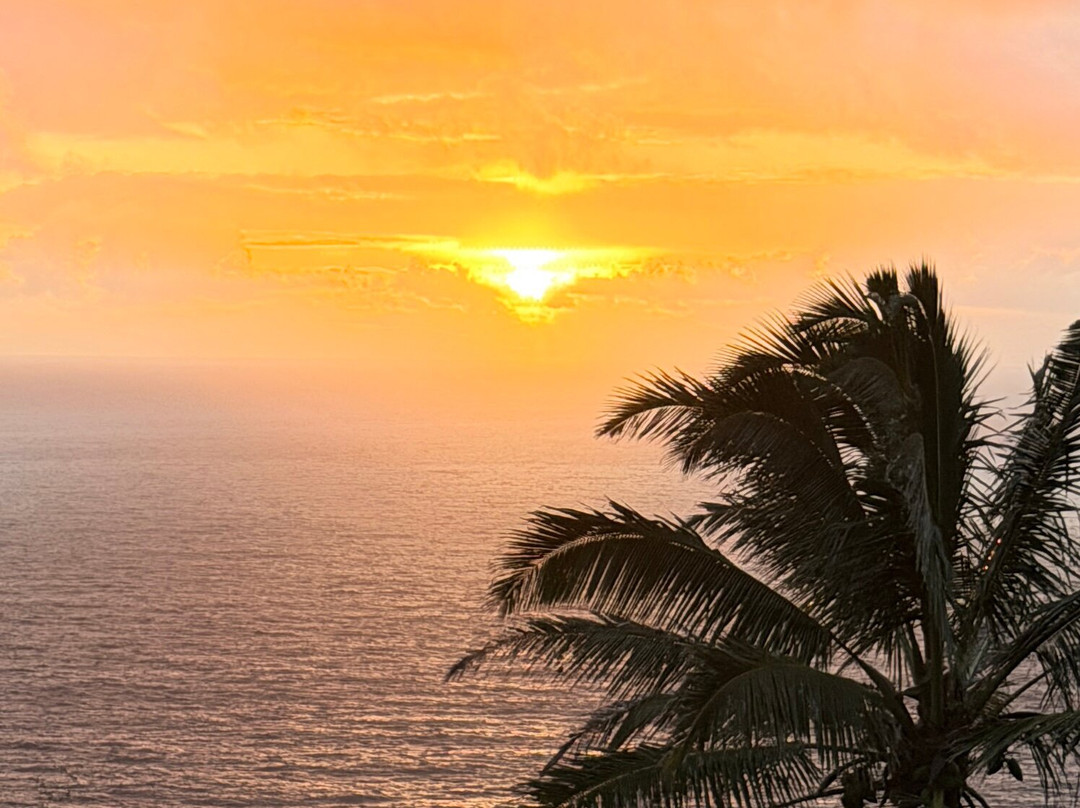 Maui Eco Retreat主图
