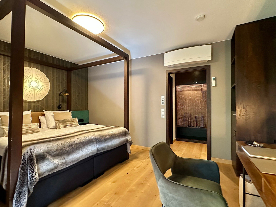 Schanz. Hotel主图
