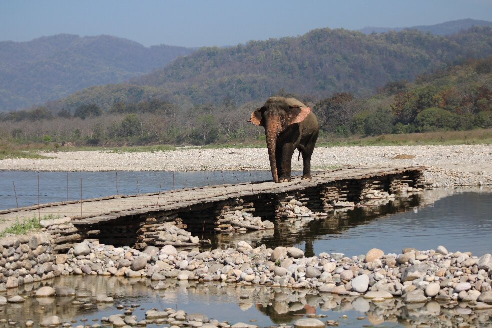 Jim Corbett National Park-Ramnagar必去景点