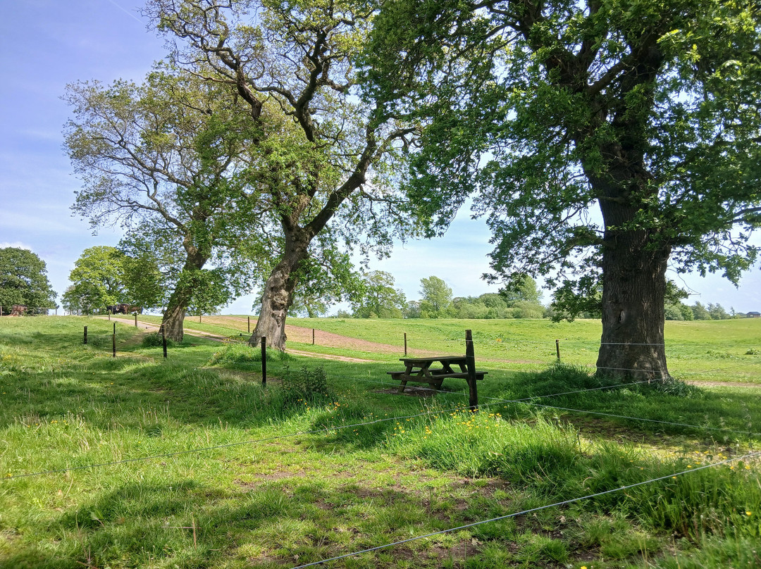 Cotebrook Shire Horse Centre-Cotebrook必去景点