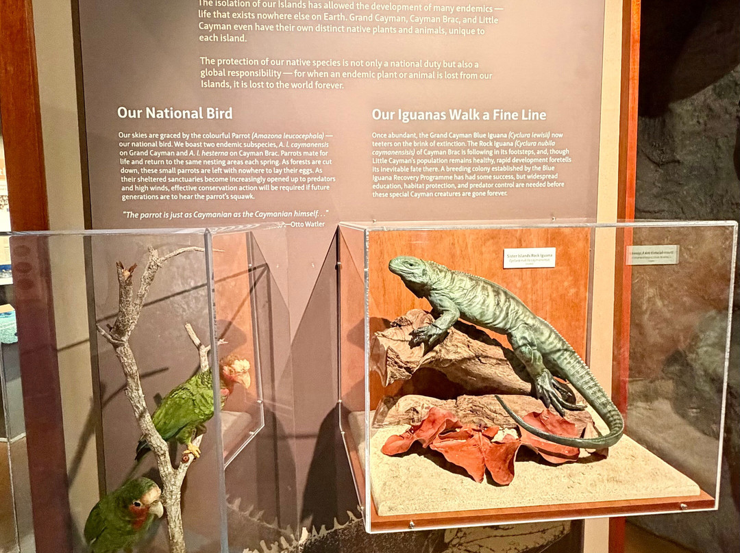 Cayman Islands National Museum-乔治城必去景点